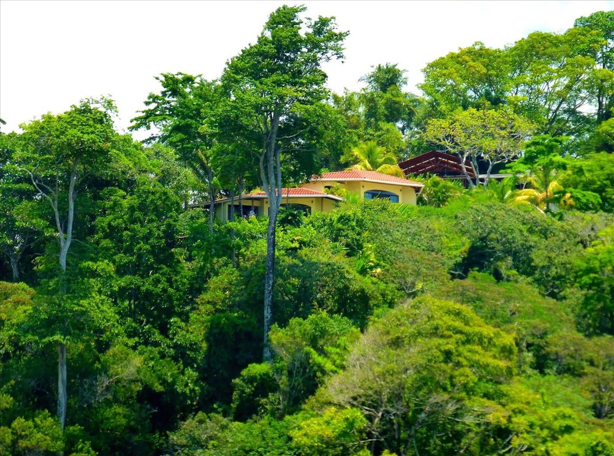 Lagunavista Villas Carate المظهر الخارجي الصورة